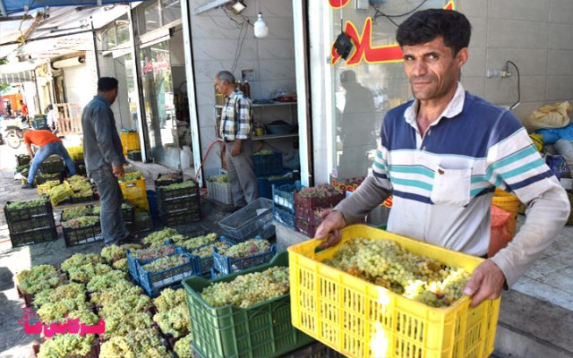 خیابان انگور در شهر تاکستان استان قزوین