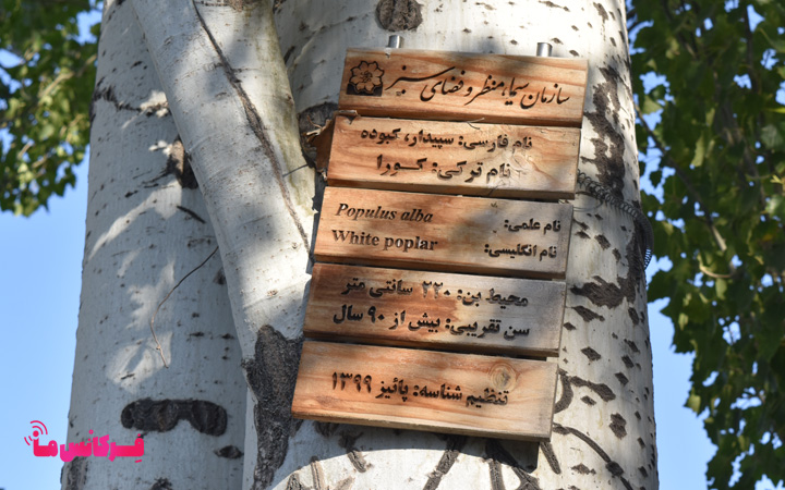 پلاک‌ درختان ائل گلی؛ جاذبه‌ای برای خواندن طبیعت