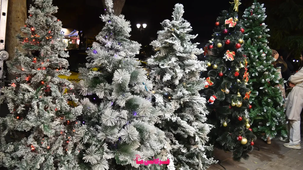 حال و هوای کریسمس ۲۰۲۶ در تهران : خیابان میرزای شیرازی